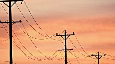 Federal Treasury secretary Stephen Kennedy recommends government intervene in energy market to drop power prices