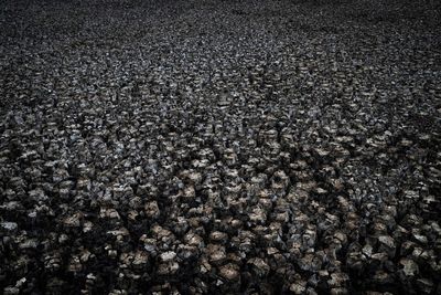 Their lagoons languishing, precious Spanish wetlands go dry