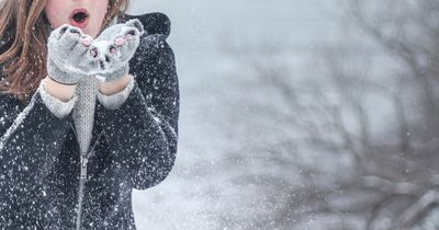 Three cities named most likely to see a White Christmas this year