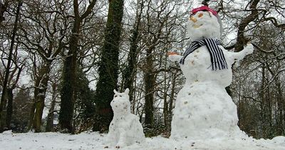 Newcastle joint favourite to have a white Christmas this year - here are the odds for snow in 2022