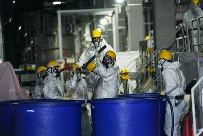 Japan says repayment of TEPCO Fukushima cleanup delayed