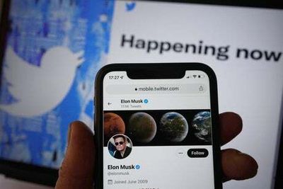 Twitter delays rollout of paid-for verification until after US midterm elections