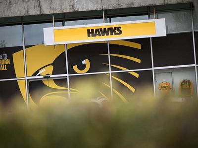 Hawks players agree to inquiry: report