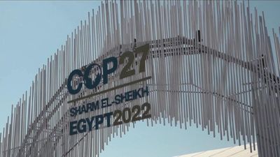 COP27 climate summit: Food takes centre stage at talks in Egypt