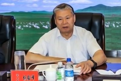 Inner Mongolia Chief Justice Arrested for Graft