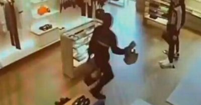 Hapless thief knocks himself out while trying to flee store with luxury stolen goods