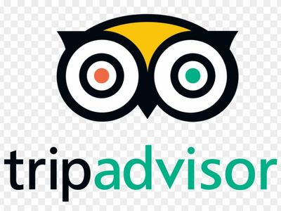 Why TripAdvisor Shares Are Trading Sharply Lower; Here Are 29 Stocks Moving Premarket