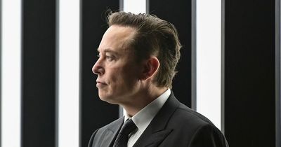 US midterms: Elon Musk tells Americans who to vote for in 'hypocritical' U-turn