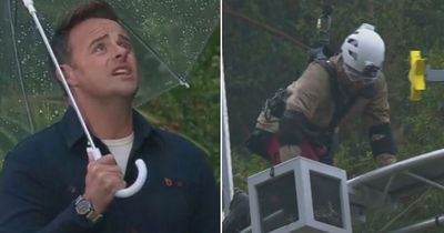 I'm A Celeb first look: Ant makes savage Babatúndé dig amid nerve-jangling trial