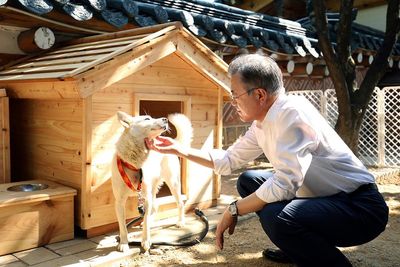 Dogs gifted by Kim Jong Un at center of South Korean row