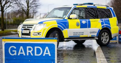 Gardai play 'checkpoint bingo' as multiple law breaks found and driver arrested