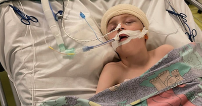 Boy left paralysed after 'blood vessels exploded in his brain'