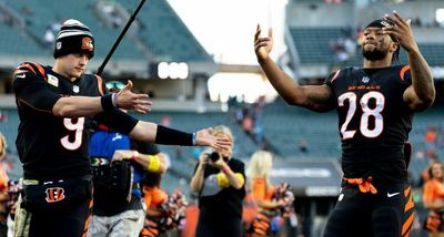 Revisiting our (sorta) bold predictions for Panthers vs. Bengals in Week 9