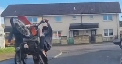 Edinburgh youth gang menace neighbourhood in broad daylight