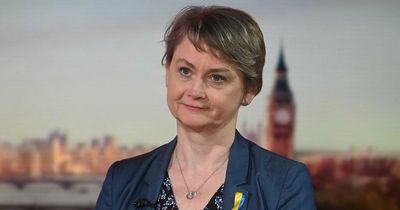 Labour immigration minister slapped down by Yvette Cooper over ID cards