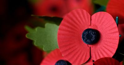 11 things you may not know about the poppy - including why it's a symbol of Remembrance