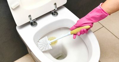 Mum's hack for unblocking the toilet in one minute using common kitchen item