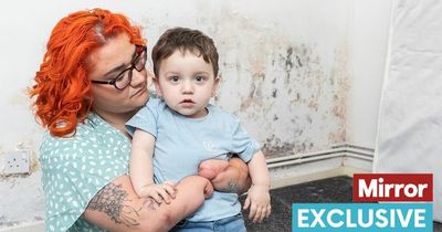 Amputee mum and baby living in mouldy house of horrors have to use neighbour's toilet