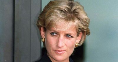 Former King of Spain's ex-lover 'has book claiming MI5 involved in Princess Diana's death'