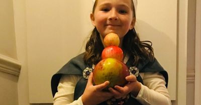 Bristol girl picks giant Howgate Wonder apple almost the size of her head