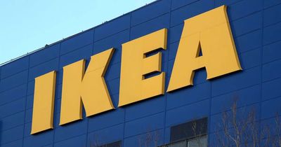 Ikea unveils its real Christmas tree deal for this year - but not all customers will be happy