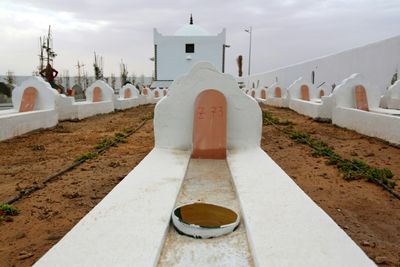 Parents of missing Tunisians dig up migrant graves: witnesses