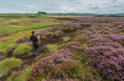 Scotland sees launch of first academic course in peatland restoration