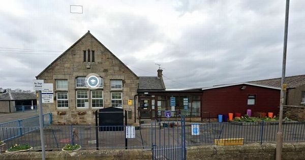 Falkirk councillor apologises for saying school mothballing report not 'honest'