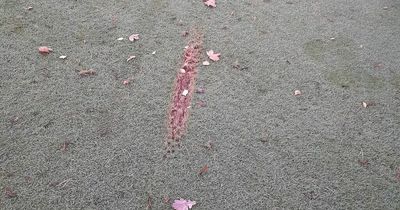 Stirling golf club hits out at vandals after bike tracks cause thousands of pounds of damage