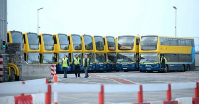 Transport chiefs to banish 'ghost' buses from Dublin as driver shortages blamed