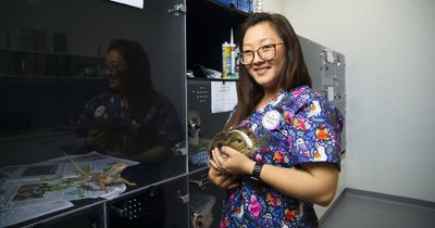 'People don't have massive backyards anymore': Canberrans gravitate towards bizarre pets