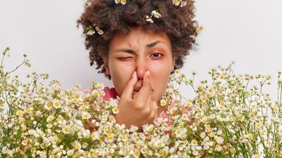 Hay fever: Why seasonal allergies are peaking, and why climate change may make them worse