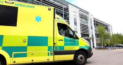 Covid-19 'resurgence' will up pressure on the NHS this winter, North East Ambulance Service warns