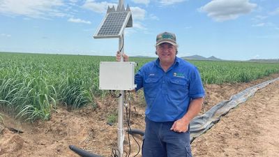 Cane farmers on Great Barrier Reef adopt irrigation automation to fix rising groundwater, prevent run off