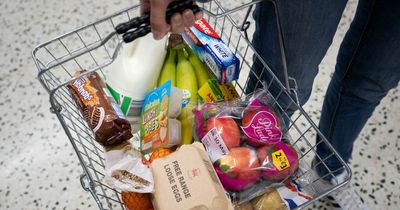 Groceries will continue to get more expensive, says forecast