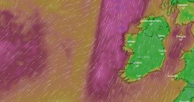 Met Éireann issues warning with horrendous 110km/h winds to rip through two counties