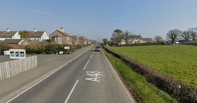 Ards and North Down Council facing bill if it relocates village signs removed after objections
