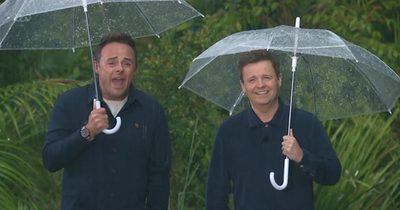 I'm A Celebrity's Ant says show 'might as well have stayed in Wales' as rain pours during trial