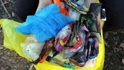 Shoppers told to put plastic bags in the bin after suspension of REDcycle's soft plastics recycling scheme