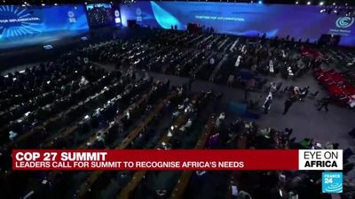 Leaders call on COP27 to recognise Africa's climate needs