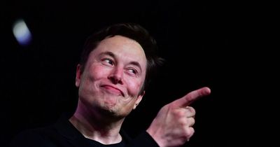 'Time traveller' from year 3000 'predicted Elon Musk's Twitter takeover and next move'