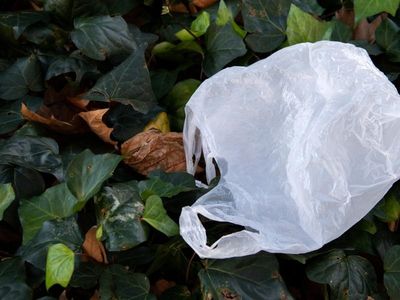 Plastic bag recycling program collapses