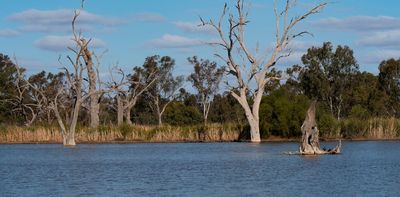 Floods can be a disaster for humans – but for nature, it's boom time