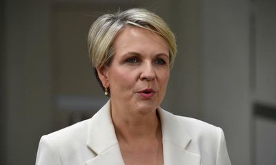 Tanya Plibersek says Coles and Woolworths must ‘step up’ to fix plastic recycling crisis