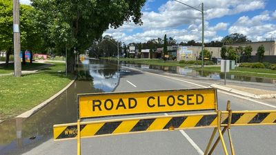 Live Traffic NSW app under fire for failing to include local flooded roads