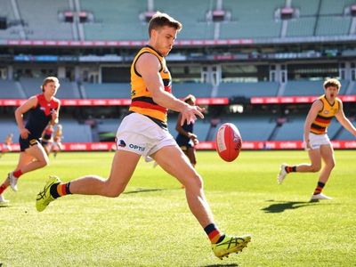 Crows delist winger Seedsman in AFL