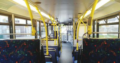 Dublin Bus drivers 'afraid of getting attacked' as grim stats revealed