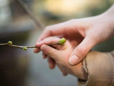 Parenting after a loss of a partner: Challenges and strategies to cope