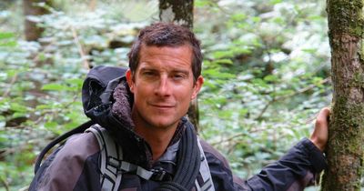 Bear Grylls led Everest expedition to recover body of Pippa Middleton's brother-in-law