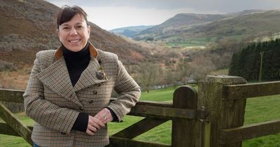 More than a quarter of Dumfries and Galloway tourism businesses could close due to cost of living crisis